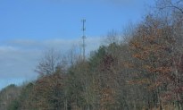 Cell tower sticking out of trees