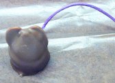 Tiny chocolate mouse with purple string tail