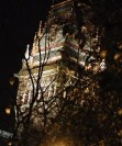 Building at night through the trees