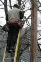 Man on ladder working on cable up high