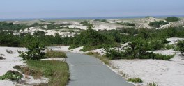 View of the trail and miles of dunes with the ocean in the background