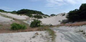 Paved bike trail snaking through the dunes