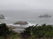 Ocean in the mist with a few very large rocks, bushes in the foreground