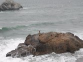 Waves pouring over a huge rock with a tiny image of a single person on top