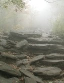 Rocky path going up steep hill into the bright mist