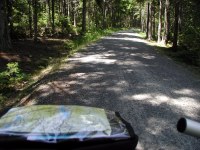 Looking over handlebars at tree-lined gravel road