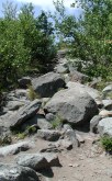 Rock-strewn path with some bushes