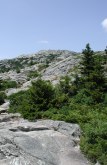 Trees in foreground, rocky summit beyond