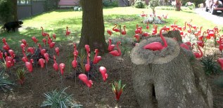 Dozens of pink plastic birds in a shaded area, one on a tree stump