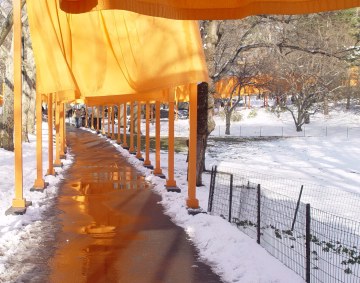 Looking down a path with the safron colored fabric blowing in the wind and orange puddles