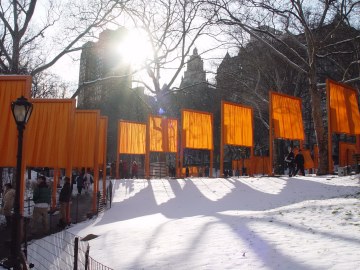 Sun shown through fabric with shadows of all sorts