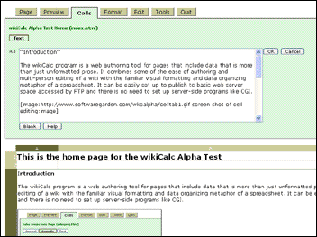 Editing a cell with a few paragraphs of text